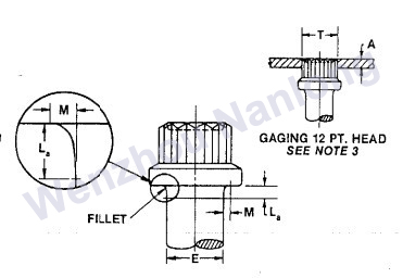 IFI 115 Flange 12-Point Screws