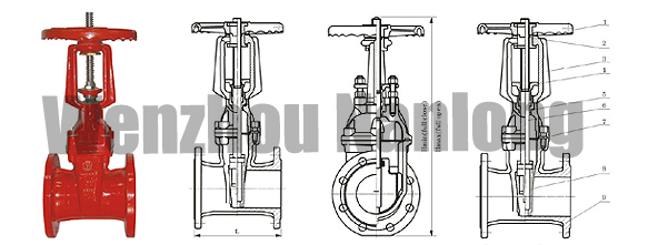 RRHX Rising Stem Resilient Seated Gate Valve