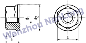 DIN 6923 - Hexagonal Flange Nuts