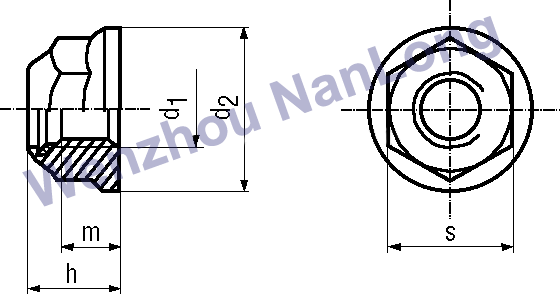 DIN EN 1663 - Prevailing torque type hexagon nuts with flange with non-metallic insert