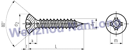 DIN 7983 B - Cross Rec. Oval hd Tapping Screw, hd Angle 80