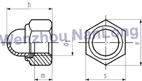 DIN 986 - Self Locking Domed Cap Nuts With Nylon Insert