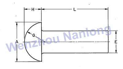 ASME B18.1.2 Button Head Rivets