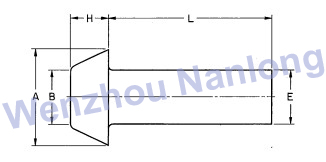 ASME B18.1.2 Pan Countersunk Head  Rivets