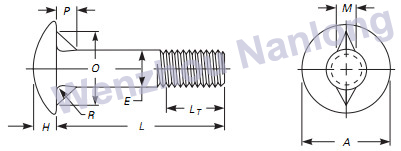 ASME B18.5 Round Head Fin Neck Bolts