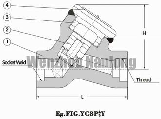 Y-Pattern Piston Check Valve 800Lb