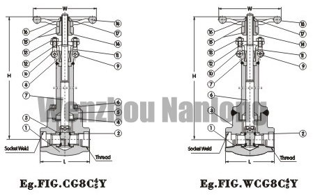 Cryogenic Gate Valve 800Lb