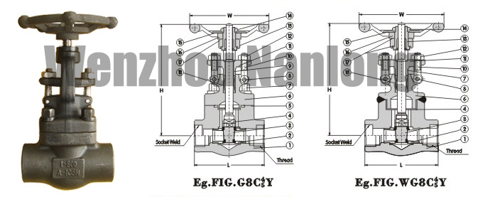 Gate Valve 800Lb