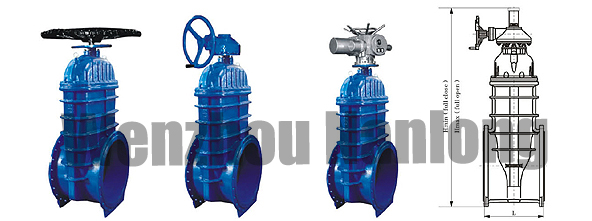Oversized Resilient Seated Gate Valve