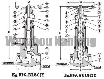 Bellow Sealed Globe Valve 800Lb