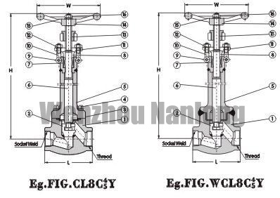 Cryogenic Globe Valve 800Lb