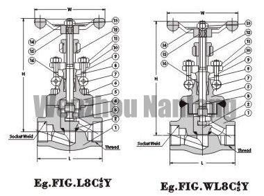 Globe Valve 800Lb