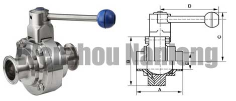 Sanitary Butterfly Type Ball Valve